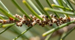 early detection prevents spread