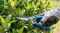 efficient pruning enhances airflow