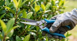 efficient pruning enhances airflow
