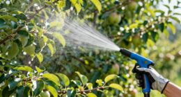efficient tall tree spraying