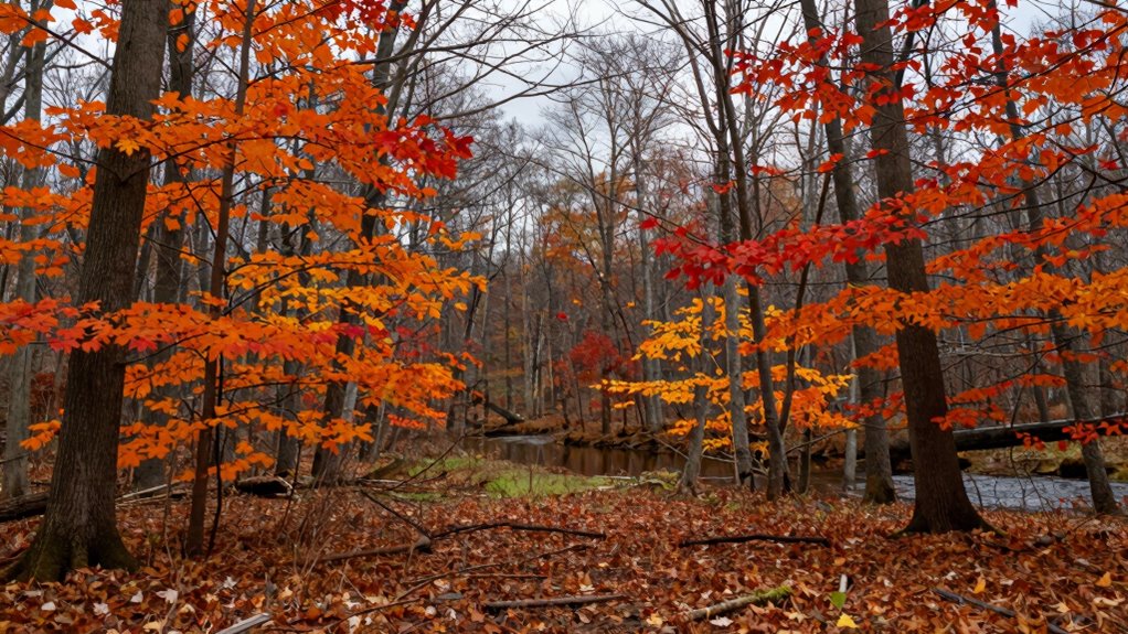 fall home maintenance planning