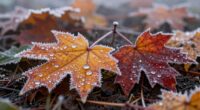 first frost date significance