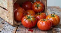 harvest mistake damages produce