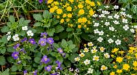 incomplete insectary planting design