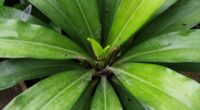 introducing pests anew