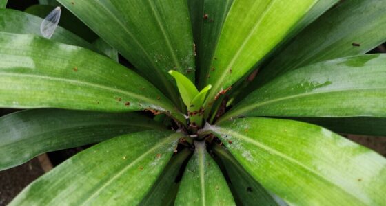 introducing pests anew