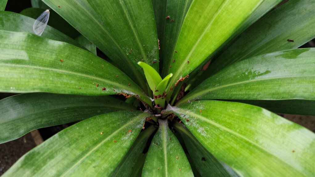 introducing pests anew