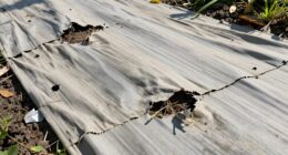landscape fabric failure causes