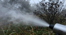 limited mosquito coverage area