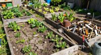 limited space crop diversity