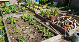 limited space crop diversity