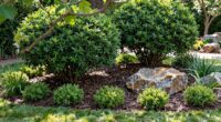 minimize pests shelter areas