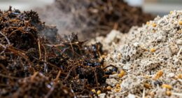moisture imbalance affects compost