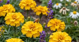 more flowers fewer benefits