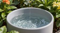 mosquito free garden watering