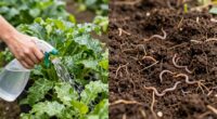 nourishing versus repairing soil