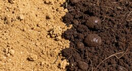 nutrient needs vary by soil type