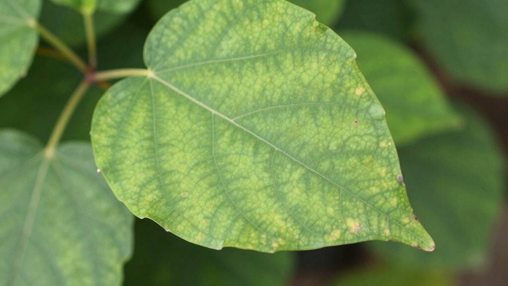 optimal plant diagnosis angles