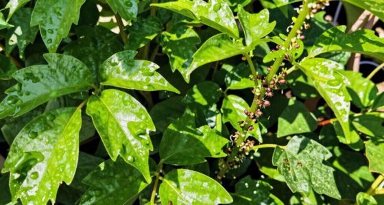 overfeeding attracts pests