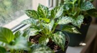 pests thrive on plants