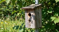 precise bat house placement