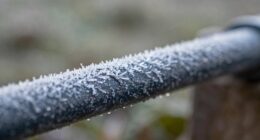 preparing irrigation for winter