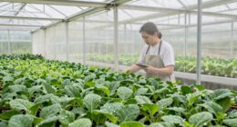 prevent pest infestation early