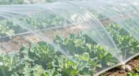 protect plants without overheating