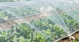 protect plants without overheating