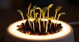 provides consistent warmth for germination