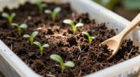 refresh container soil naturally