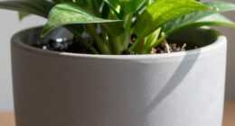 root zones retain moisture