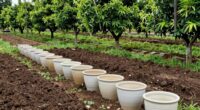 sanitation varies by environment