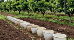 sanitation varies by environment