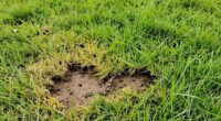 seasonal effects on damage