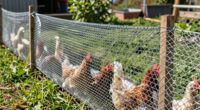 secure portable poultry fencing