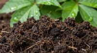 soil scent reveals secrets