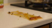sticky trap reveals pest invasion
