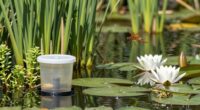 wildlife ponds mosquito management