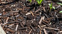 wood chips and nitrogen