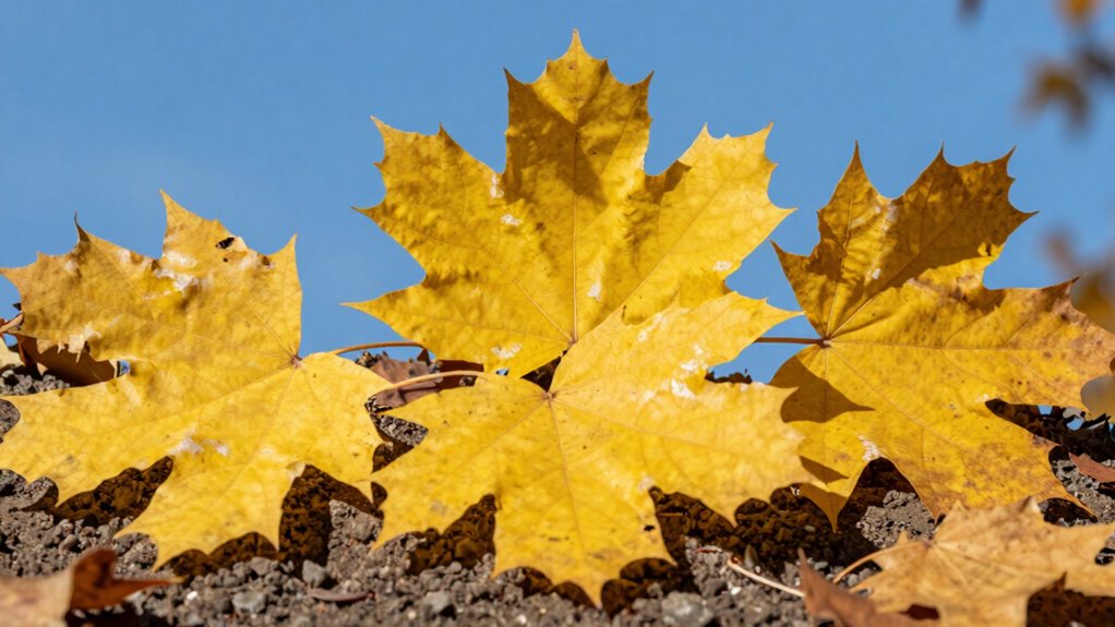 yellow leaves other causes