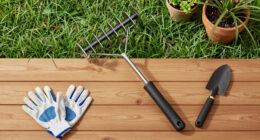 11 Best Soil Aerators in 2026