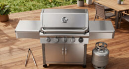 14 Best Gas Grills in 2026