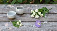 14 Best Night-Scented Flowers in 2026