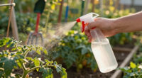 15 Best Garden Pest Control Sprays in 2026