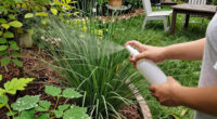 How to Prevent Ticks in Your Yard – 5 Expert-Approved Ways to Stop Them Moving In