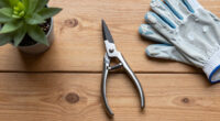 10 Best Micro-Tip Pruning Snips in 2026