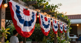 10 Best Patriotic Outdoor String Lights in 2026