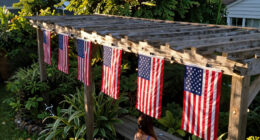 11 Best Patriotic Outdoor String Lights in 2026