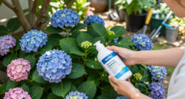 12 Best Hydrangea Care Products in 2026